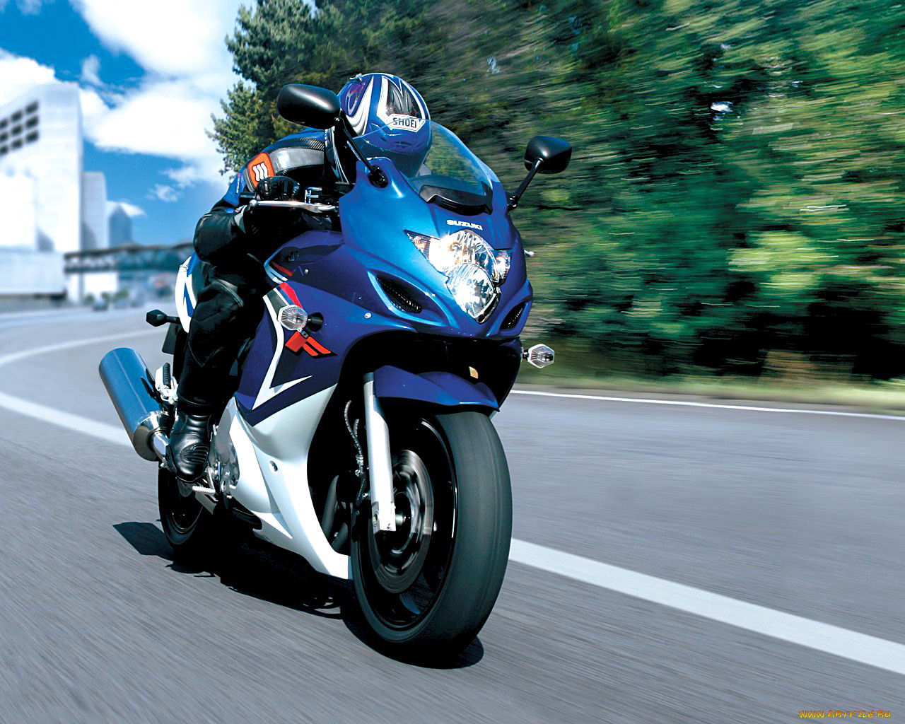 , suzuki